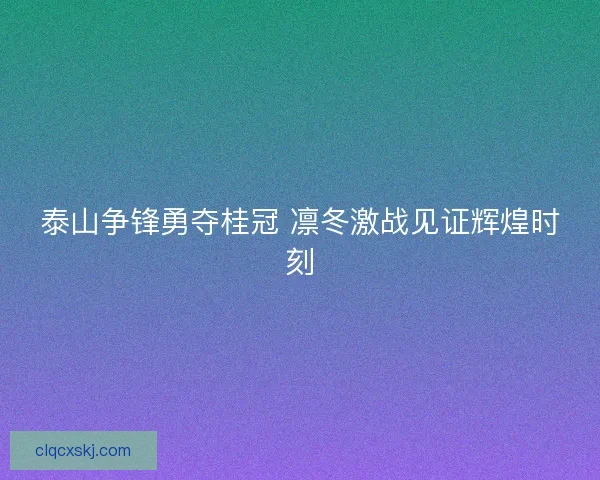 泰山争锋勇夺桂冠 凛冬激战见证辉煌时刻